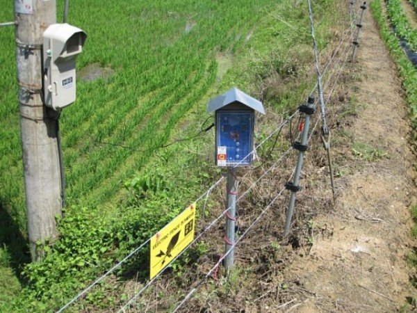 6-0122_안동시_녹색성장으로_지역발전_견인한다(유해야생동물피해예.jpg