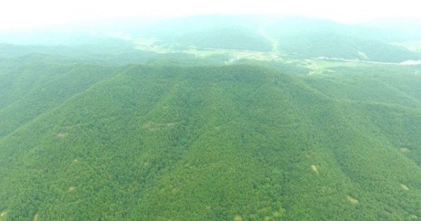 무태산(정상)사부리.jpg