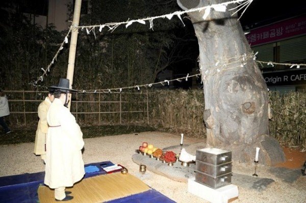 0207_안동부(安東府)_신목(神木)제사(祭祀)_(2).jpg