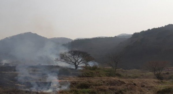 논밭두렁 소각사진.jpg