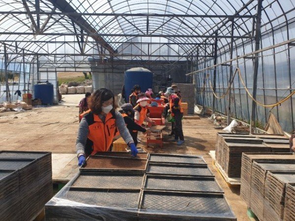 봉사활동 사진.jpg