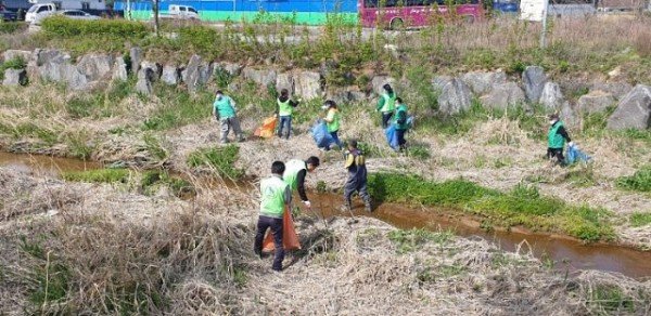 선산읍자연보호선산읍협의회_하천변_환경정비_실시4.jpg