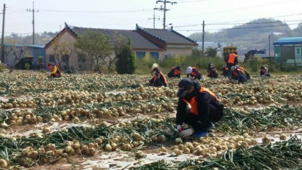 일돈돕기 사진.jpg