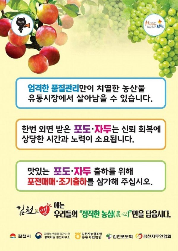 포전매매,_미숙포도⦁자두_조기출하_이젠_그만_”-농산물유통과(.jpg