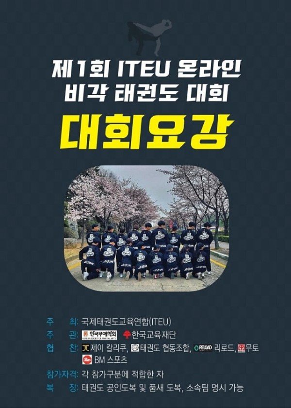 제_1회_‘ITEU_온라인_비각_태권도_대회’_대회요강_리풋렛_(2).jpg