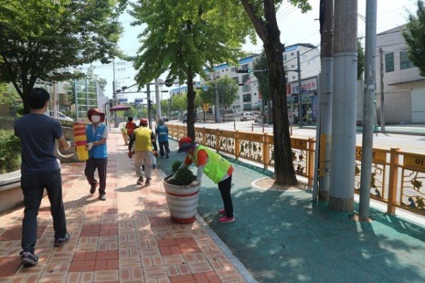 벽화거리로 거듭나는 신평2동, 가을 꽃으로 생기를 더하다!3.JPG