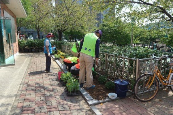 벽화거리로 거듭나는 신평2동, 가을 꽃으로 생기를 더하다!2.JPG