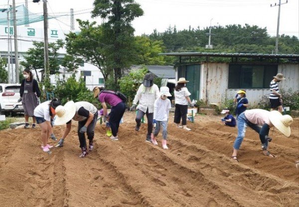 [농촌지원과]도시텃밭 주말농장 실시3.jpg