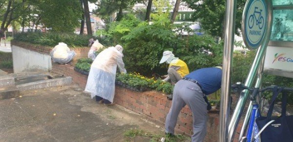 [형곡2동]형곡2동 가을꽃 식재3.jpg