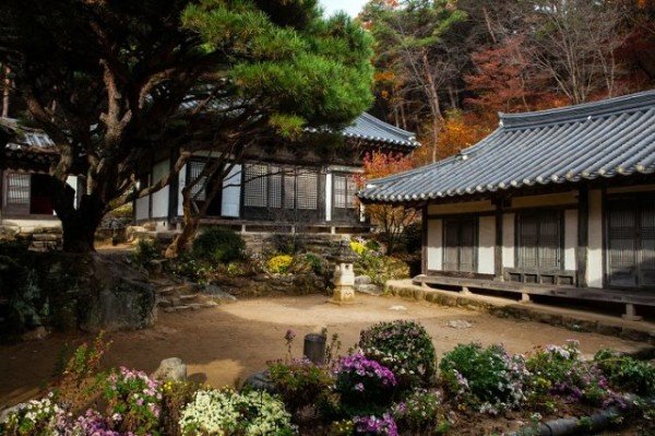 1019-1 안동 관광지 알고보니 영화 촬영 명소 봉정사 영산암 (2).jpg