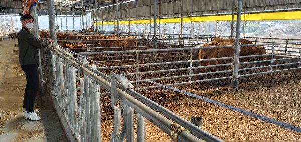 [축산과]무허가 축사 적법화 후속조치 실시3.jpg