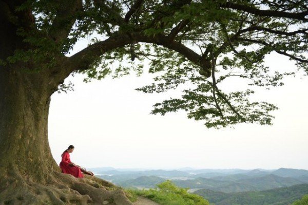 가야금병창 연주자 전해옥 이미지 사진 (4).jpg