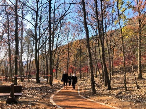 [산림과]연악산 산림욕장 조성사업 준공2.jpg
