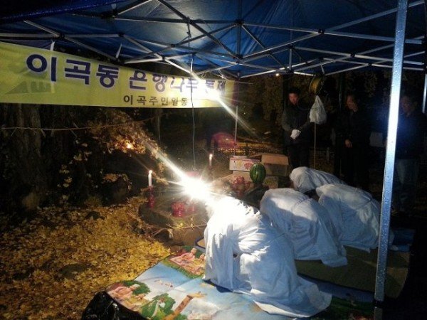 [문화예술과]농소리 은행나무 동제4.jpeg