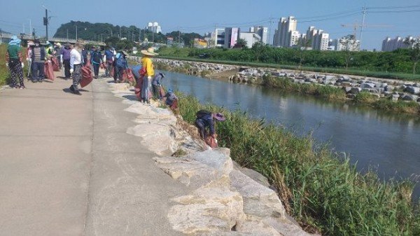 [건설수변과]시민과 공존하는 쾌적한 하천 산책로로 탈바꿈2.jpeg