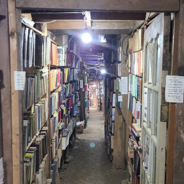 2_hh9Ud018svcir7mb573rug1_tg3zvl (1).jpg