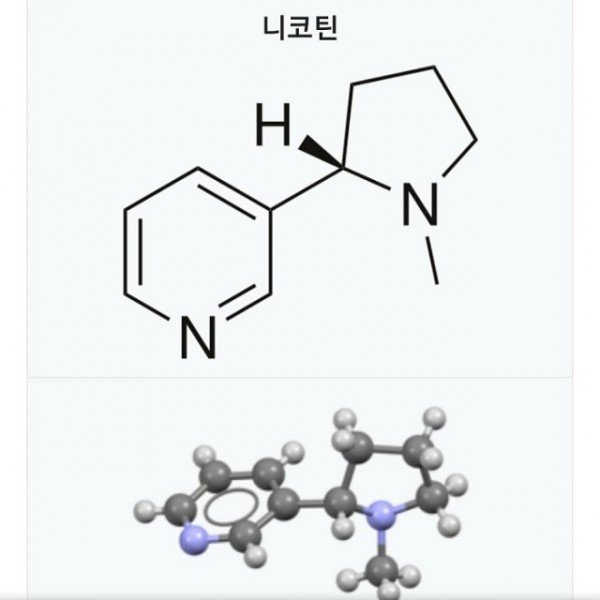니코틴 분자구조 사진.jpg