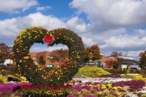 [미래농업과]국화전시회 명칭 선정(제18회 국화전시회 모습).jpg