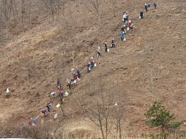 0325-1_안동시_산불피해지_복구조림(1차년도)_사업_실시_(3).jpg