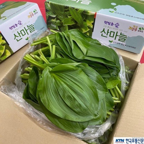 [기술보급과]웰빙작물! 연금작물! 두 마리 토끼를 한번에.jpg