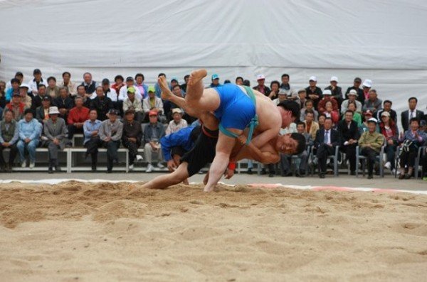01의성군제공 의성문화원 사업 선정.jpg
