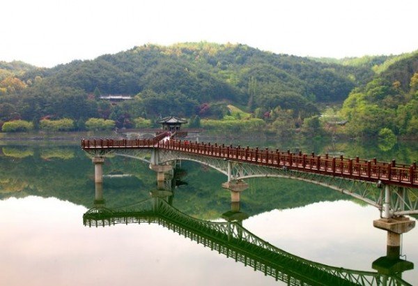 0407 월영교 (1).jpg