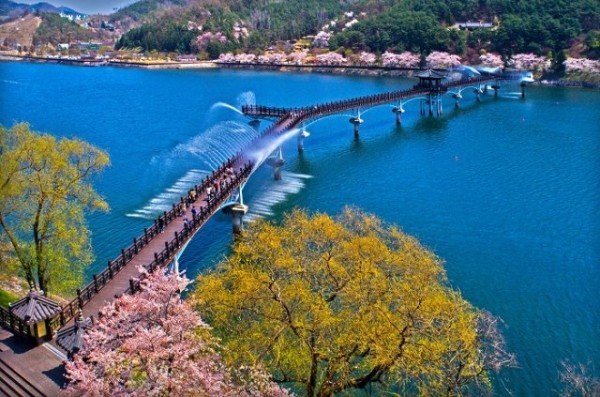 0407 월영교 봄 (1).jpg