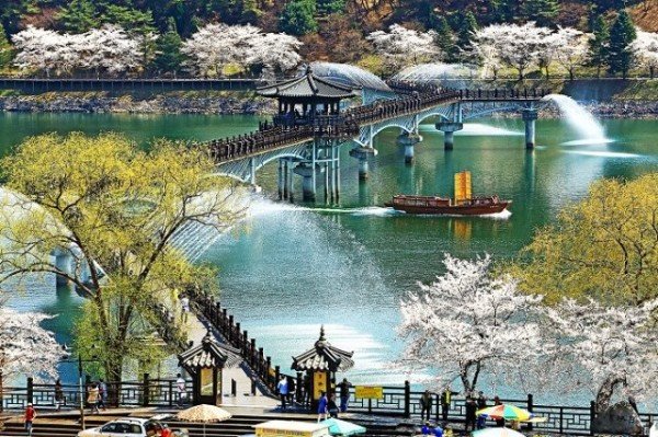 0407 월영교 봄 (2).jpg