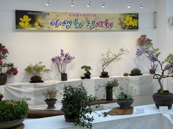[기술개발과]야생화 봄전시회2.JPG