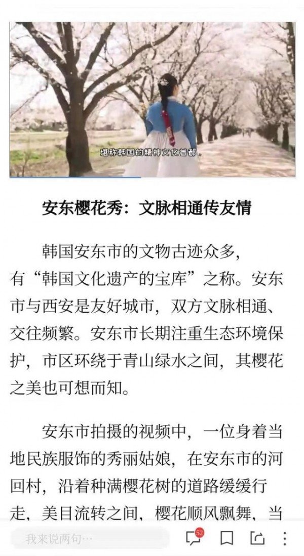 0421-1_안동_벚꽃_도시_홍보와_국제교류_증진(신화사_뉴스채널).jpg