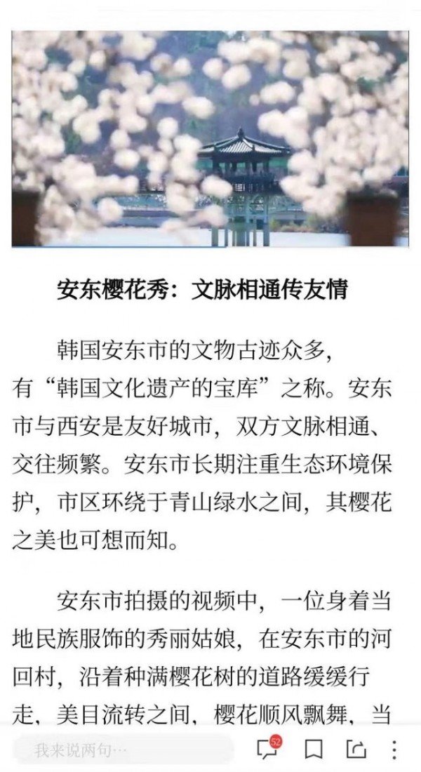 0421-1_안동_벚꽃_도시_홍보와_국제교류_증진(신화사_뉴스채널)_(2).jpg