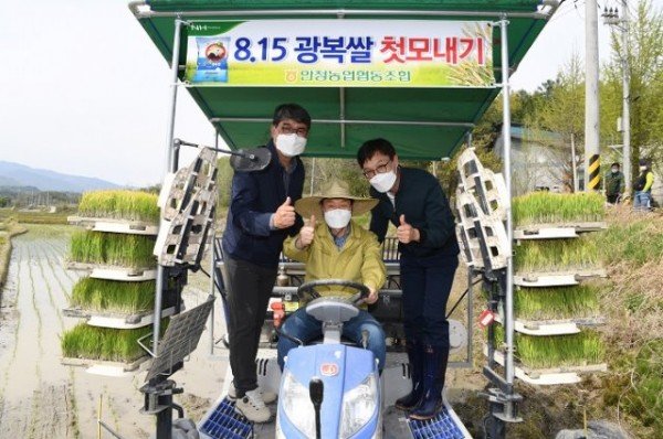 영주 2-815광복쌀 첫 모내기 기념촬영.JPG