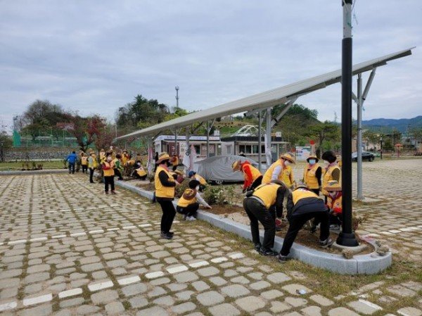 영주 (추가분2)-부석면적십자봉사대, 봄맞이 꽃나무 식재 (2).jpg