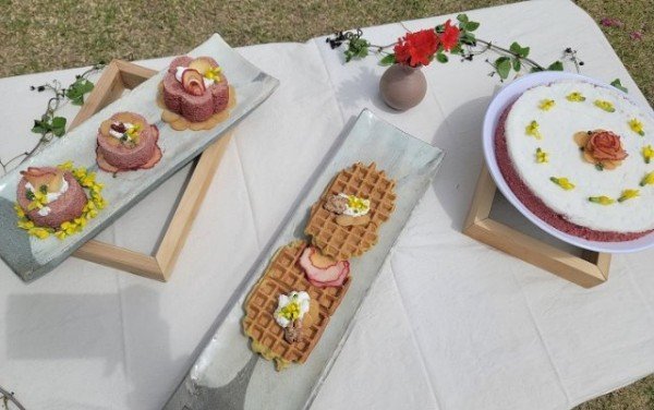 영주 2-영주시, ‘모두의 in 삶, 인삼요리’로 ‘건강’과 ‘행복’ 둘 다 챙기세요~! (인삼 컵케익과 떡와플 완성된 모습) (2).jpg