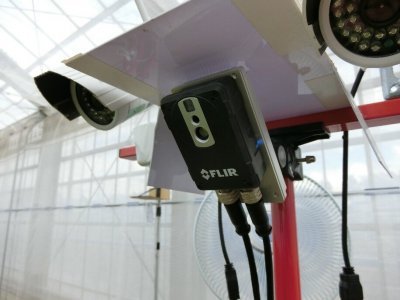 Image9_jpg_ico400.jpg