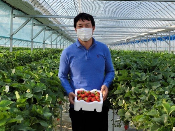 [고아읍] 늘봄딸기농원 딸기 100kg 후원2.jpg