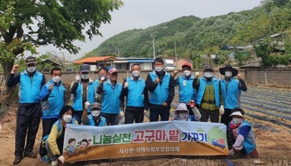 05의성군제공 사곡면 고구마밭.jpg
