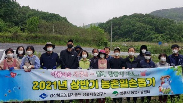 영주 3- 영주시와 생물자원연구소 농촌일손돕기 (1).jpg