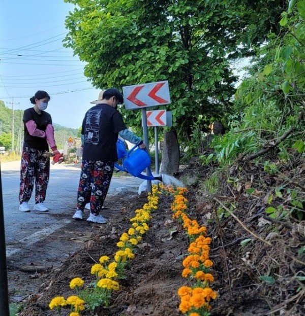 영주 3-영주시자원봉사센터, 다시 찾은 행복마을! (화단 조성 후 물을 주고 있는 장면) (2).jpg