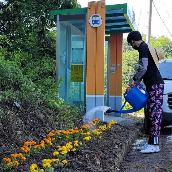 영주 3-영주시자원봉사센터, 다시 찾은 행복마을! (화단 조성 후 물을 주고 있는 장면) (1).jpg