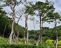 8_a3eUd018svcdcld5w8lczl_tg3zvl.jpg