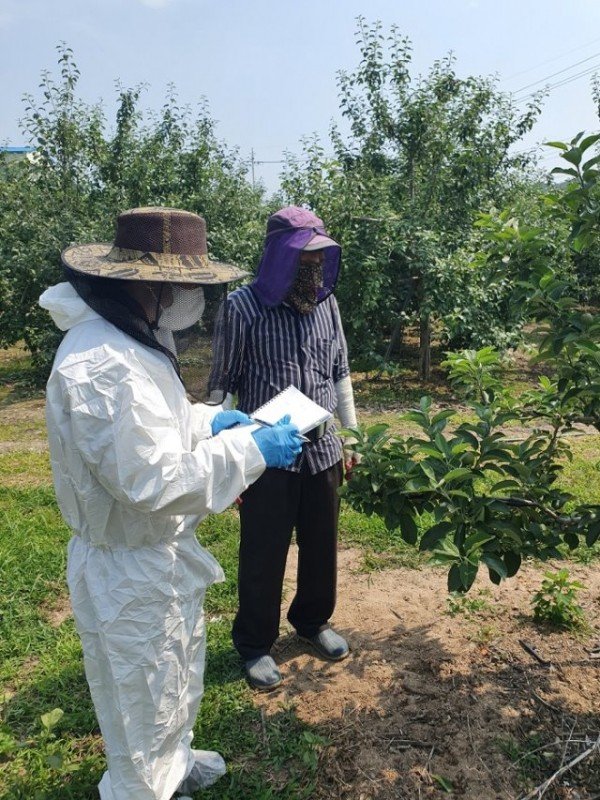 0607_안동시_과수화상병_확산_방지_총력_사진_(1).jpg
