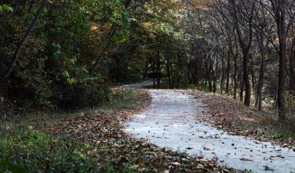 [관광진흥과] 구미의 걷기좋은길 9선 지도 제작3(선산뒷골 명상의길).jpg