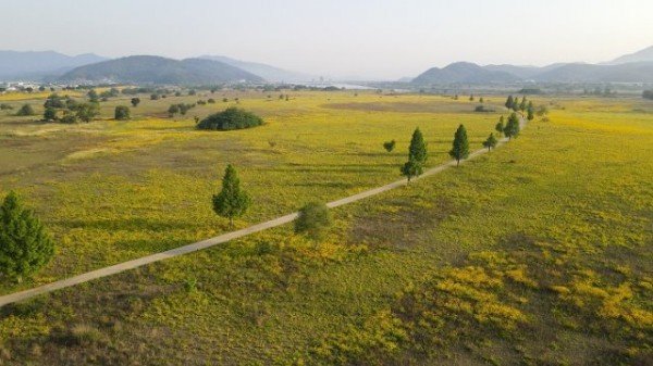 [관광진흥과] 구미의 걷기좋은길 9선 지도 제작1(낙동강변길).JPG