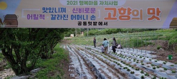 04의성군제공 행복마을자치사업 (1).jpg