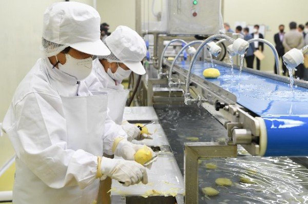 영주 2-영주 농산물직거래물류센터 내부 작업모습.jpg