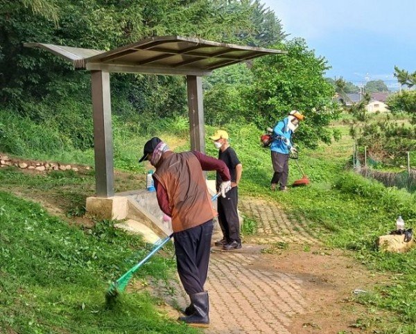 영주 4-봉현면 바르게살기위원회, 두산약수터 풀베기 실시 (환경정비하는 장면) (3).jpeg