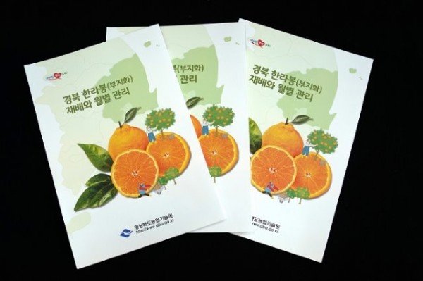(5-2)한라봉_재배_소책자(2).JPG