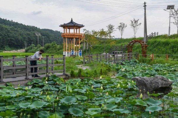 영주 1-적동2리 마을만들기사업 전경모습.JPG