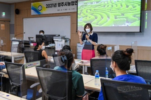 (추가사진) 영주 3-영주시는 17일부터 다음달 1일까지 농업인 라이브커머스 교육을 지원한다.jpg